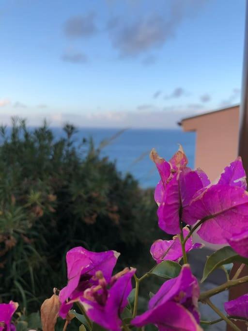 Appartamento Per 2 Persone Con Vista Sulle Eolie Casa Spisidda "Lipari" Gioiosa Marea Dış mekan fotoğraf