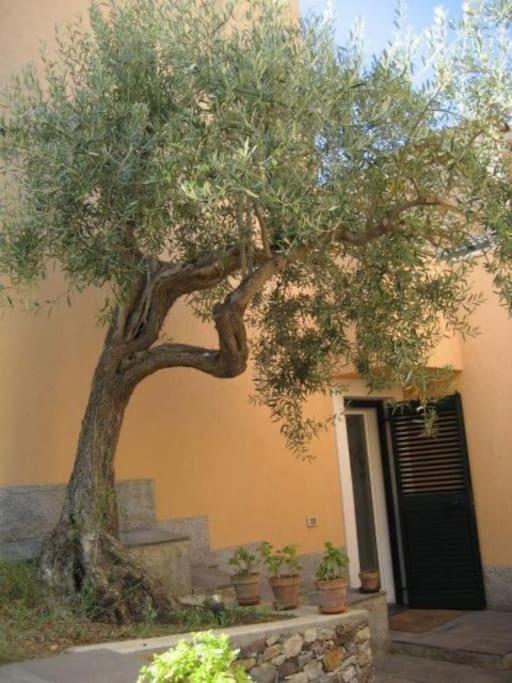 Appartamento Per 2 Persone Con Vista Sulle Eolie Casa Spisidda "Lipari" Gioiosa Marea Dış mekan fotoğraf