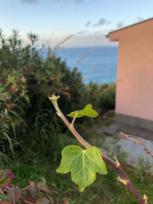 Appartamento Per 2 Persone Con Vista Sulle Eolie Casa Spisidda "Lipari" Gioiosa Marea Dış mekan fotoğraf