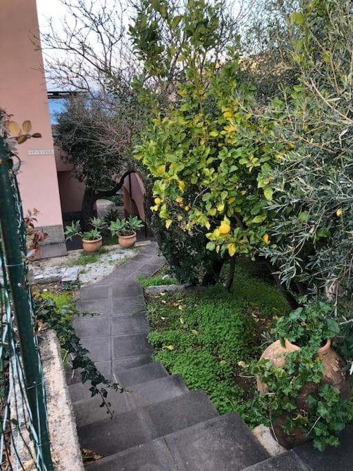 Appartamento Per 2 Persone Con Vista Sulle Eolie Casa Spisidda "Lipari" Gioiosa Marea Dış mekan fotoğraf