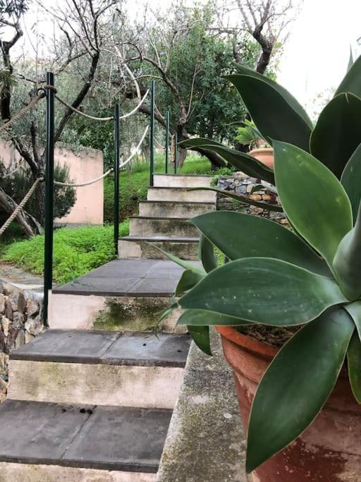 Appartamento Per 2 Persone Con Vista Sulle Eolie Casa Spisidda "Lipari" Gioiosa Marea Dış mekan fotoğraf