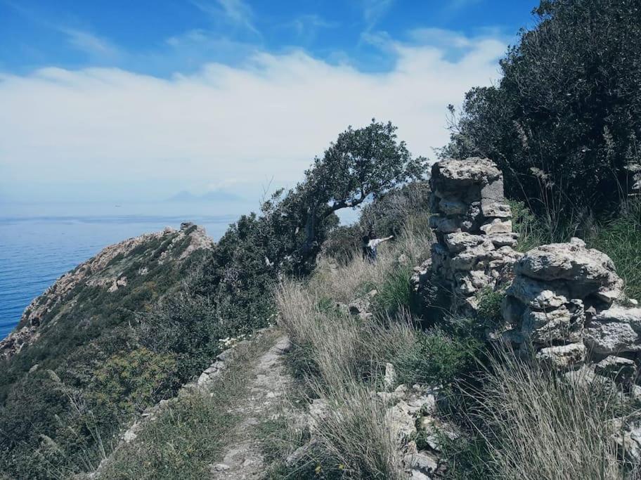 Appartamento Per 2 Persone Con Vista Sulle Eolie Casa Spisidda "Lipari" Gioiosa Marea Dış mekan fotoğraf